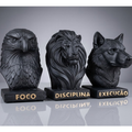 Trio Decorativo Foco Disciplina Execução