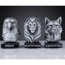 Trio Decorativo Foco Disciplina Execução