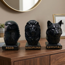 DECORAÇÃO ELEGANTE TRIO MOTIVAÇÃO SALA,QUARTO,ESCRITORIO E ETC